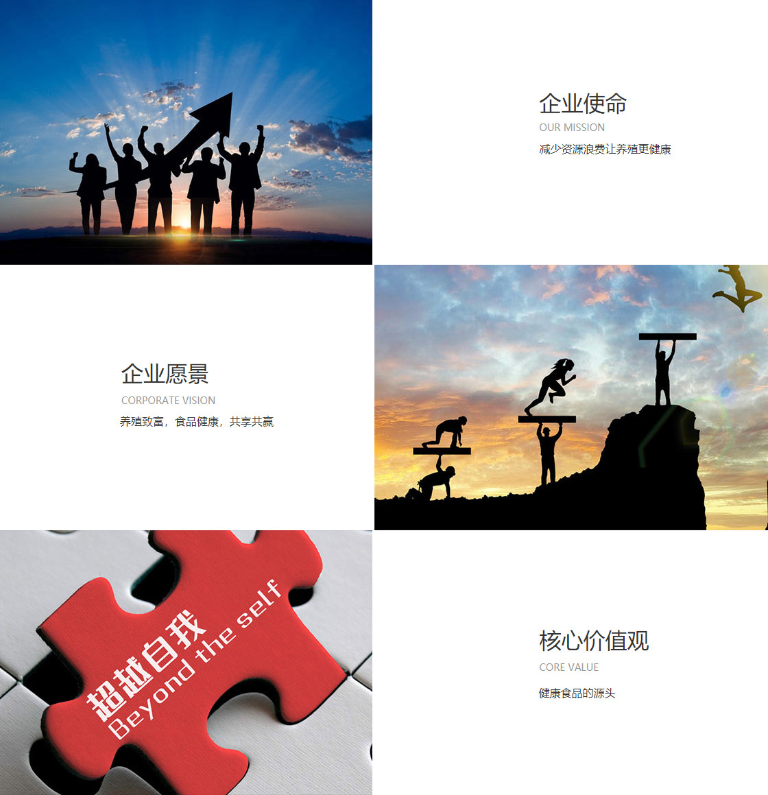 彩神彩票vlll登录入口(图1)